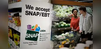 Alimentos gratis en Florida: beneficiarios del SNAP recibirán pagos EBT en estas fechas de julio 2025 Alimentos gratis en Florida: beneficiarios del SNAP recibirán pagos EBT en estas fechas de julio 2025