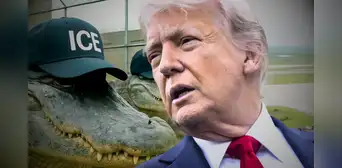 Trump asistirá a la inauguración del 'Alligator Alcatraz', nuevo centro de detención de inmigrantes indocumentados en Florida Trump asistirá a la inauguración del 'Alligator Alcatraz', nuevo centro de detención de inmigrantes indocumentados en Florida