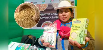 Disminuye producción de quinua en Puno por cambio climático: bajó más del 50% Disminuye producción de quinua en Puno por cambio climático: bajó más del 50%