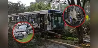 Violento choque entre corredor azul y auto en la av. Arequipa bloquea carril: árbol se cayó tras fuerte impacto Violento choque entre corredor azul y auto en la av. Arequipa bloquea carril: árbol se cayó tras fuerte impacto