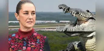 Sheinbaum muestra su rechazo al 'Alligator Alcatraz' de EEUU: "No estamos de acuerdo en tratar a inmigrantes como criminales" Sheinbaum muestra su rechazo al 'Alligator Alcatraz' de EEUU: "No estamos de acuerdo en tratar a inmigrantes como criminales"