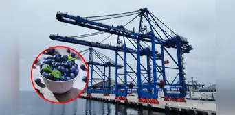 Megapuerto de Chancay: primeros arándanos peruanos de temporada llegaron en menos de 30 días a China