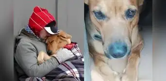 La trágica historia del hombre indigente que murió de frío tras negarse abandonar a su perro en Argentina: "No quería dejarlo solo"