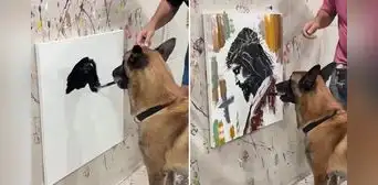 ¡No es IA! Perrito causa furor en redes tras 'pintar' a Jesucristo y la Virgen María: "Firulais Picasso" ¡No es IA! Perrito causa furor en redes tras 'pintar' a Jesucristo y la Virgen María: "Firulais Picasso"
