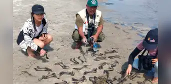 Denuncian matanza de flamencos en Piura: voluntarios animalistas exigen intervención de las autoridades Denuncian matanza de flamencos en Piura: voluntarios animalistas exigen intervención de las autoridades
