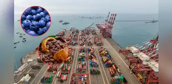 Exportaciones peruanas a Estados Unidos suben 18% pese a golpe arancelario
