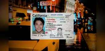 Muy buenas noticias para inmigrantes en EEUU: los estados donde los indocumentados pueden obtener una licencia de conducir Muy buenas noticias para inmigrantes en EEUU: los estados donde los indocumentados pueden obtener una licencia de conducir