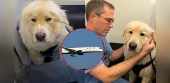 Piloto de aerolínea en EE. UU. desvió su vuelo con más de 180 pasajeros para salvar a un perrito y conmueve en redes: "Toda vida importa"