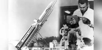 La increíble historia de Juan, el mono que hizo historia como el "primer astronauta argentino" en ir al espacio La increíble historia de Juan, el mono que hizo historia como el "primer astronauta argentino" en ir al espacio