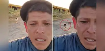 Hombre fue despedido por su jefe y llora al separarse del perrito que lo acompañó 11 años al trabajo: “Lo voy a extrañar” Hombre fue despedido por su jefe y llora al separarse del perrito que lo acompañó 11 años al trabajo: “Lo voy a extrañar”