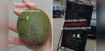 Peruano pide ensalada de palta en restaurante, pero le dan un fruto entero: “Buscó cobre y encontró oro”