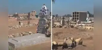 Trujillo abre cementerio para no identificados: una esperanza para familias que aún buscan a sus desaparecidos Trujillo abre cementerio para no identificados: una esperanza para familias que aún buscan a sus desaparecidos