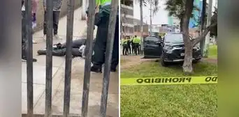 Persecución a balazos en Los Olivos, detienen a delincuente que terminó herido