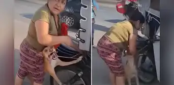 Chiclayo: vecinos denuncian que perrito fue arrastrado tras ser atado a una mototaxi en movimiento Chiclayo: vecinos denuncian que perrito fue arrastrado tras ser atado a una mototaxi en movimiento