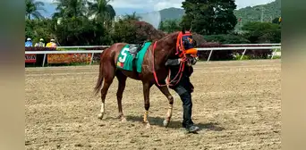 Resultados del 5y6 del 6 de julio en el Hipódromo La Rinconada: caballos ganadores y órdenes de llegada de todas las carreras