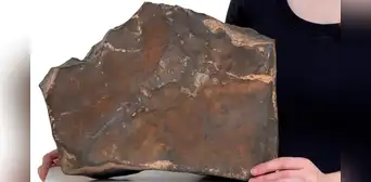 Un trozo de la historia de Marte y con gran valor científico está a punto de venderse por US$ 4 millones Un trozo de la historia de Marte y con gran valor científico está a punto de venderse por US$ 4 millones
