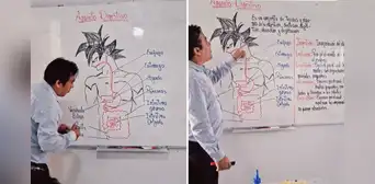 Profesor dibuja a personaje de Dragon Ball para enseñar el sistema digestivo y redes estallan: "Están viendo de dónde se genera el ki" Profesor dibuja a personaje de Dragon Ball para enseñar el sistema digestivo y redes estallan: "Están viendo de dónde se genera el ki"