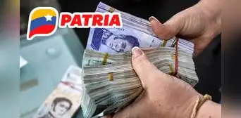 Bonos de la Patria activos hoy, martes 8 de julio: qué cayó, qué dijo Maduro del pago y montos que se cobran ya en Venezuela Bonos de la Patria activos hoy, martes 8 de julio: qué cayó, qué dijo Maduro del pago y montos que se cobran ya en Venezuela