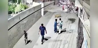 León escapa de una casa y ataca a una mujer junto a sus hijos en Pakistán: animal era tratado como mascota León escapa de una casa y ataca a una mujer junto a sus hijos en Pakistán: animal era tratado como mascota