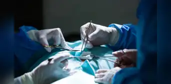 España permite por primera vez la donación de órganos entre personas con VIH gracias a nueva norma