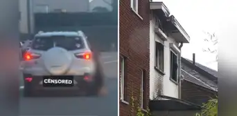 Hombre causa la muerte de su perro al arrastrarlo con su auto, video se hace viral e incendian su casa días después Hombre causa la muerte de su perro al arrastrarlo con su auto, video se hace viral e incendian su casa días después