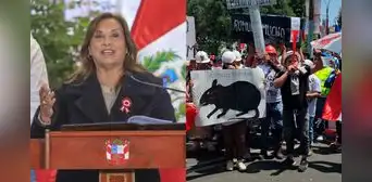 Dina Boluarte minimiza protesta de mineros tras fracaso de ley Mape: "Ahora solo están en las calles los ilegales" Dina Boluarte minimiza protesta de mineros tras fracaso de ley Mape: "Ahora solo están en las calles los ilegales"
