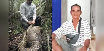 Agricultor de 61 años es devorado por una pitón de ocho metros en Indonesia mientras salía a alimentar a sus animales Agricultor de 61 años es devorado por una pitón de ocho metros en Indonesia mientras salía a alimentar a sus animales