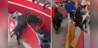 Caos en fiesta costumbrista: toro se escapa de ruedo y desata el pánico entre asistentes en Cajamarca