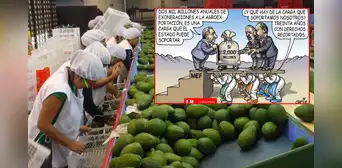 Beneficios de la Ley Chlimper 2.0: Carlincatura expone cómo las agroexportadoras celebran mientras el Estado pierde millones de soles