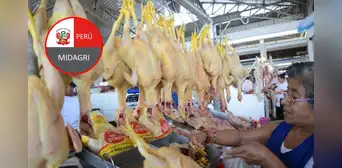 Precio del pollo en Lima y Callao: el costo en mercados minoristas es el más del doble que en mayoristas Precio del pollo en Lima y Callao: el costo en mercados minoristas es el más del doble que en mayoristas