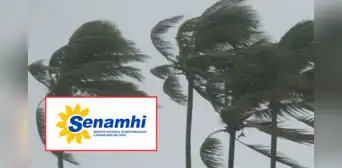 Senamhi: estas 7 regiones costeras registrarán vientos de hasta 40 km/h, ¿en qué fechas? Senamhi: estas 7 regiones costeras registrarán vientos de hasta 40 km/h, ¿en qué fechas?