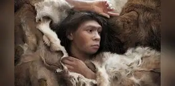 Científicos descubrieron el cráneo de un humano híbrido que podría haber sido en parte homo Sapiens y en parte neandertal