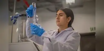 Pronabec: 8 de las 10 carreras más elegidas en Beca 18 son de ciencia, tecnología, ingeniería o matemáticas