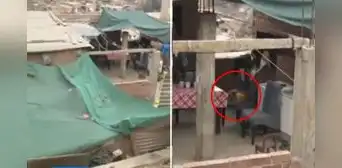 Niño de 9 años queda con el rostro comprometido tras ataque de perros en San Juan de Lurigancho Niño de 9 años queda con el rostro comprometido tras ataque de perros en San Juan de Lurigancho