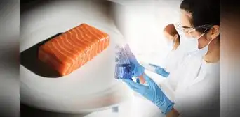 Logran producir salmón en un laboratorio y ya se sirve en un restaurante en Estados Unidos Logran producir salmón en un laboratorio y ya se sirve en un restaurante en Estados Unidos