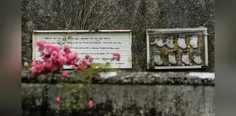 Descubren alrededor de 800 cadáveres de bebés bajo un convento de monjas en Irlanda: "No había ningún registro" Descubren alrededor de 800 cadáveres de bebés bajo un convento de monjas en Irlanda: "No había ningún registro"
