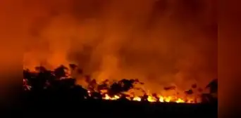 Incendio forestal de gran magnitud arrasa áreas de bosque en Manantay, Pucallpa: humareda llegaría a la ciudad Incendio forestal de gran magnitud arrasa áreas de bosque en Manantay, Pucallpa: humareda llegaría a la ciudad