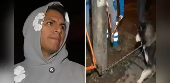Franco Vidal halla a perrito encadenado a un poste durante una transmisión y exige su liberación: "Vamos a darlo en adopción" Franco Vidal halla a perrito encadenado a un poste durante una transmisión y exige su liberación: "Vamos a darlo en adopción"