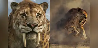 Esta es la verdadera causa de la extinción del tigre diente de sable, según científicos de Brasil: no fue obra del ser humano