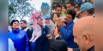'Porky Jr.', el cerdito de López Aliaga, mordió a la congresista Norma Yarrow durante la presentación de trenes 'Porky Jr.', el cerdito de López Aliaga, mordió a la congresista Norma Yarrow durante la presentación de trenes