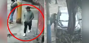 Roban camioneta de veterinaria con un perrito adentro justo cuando iba a ser entregado a su dueño en El Agustino