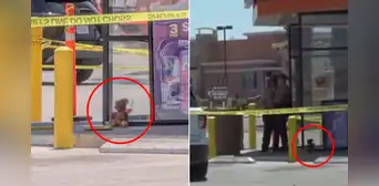 Hallan oso de peluche con falsa piel humana en un paradero de bus en EE.UU. y desata caos: era una obra artística de terror Hallan oso de peluche con falsa piel humana en un paradero de bus en EE.UU. y desata caos: era una obra artística de terror