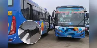 Trujillo: extorsionadores intentan incendiar micro y retoman amenazas a transportistas Trujillo: extorsionadores intentan incendiar micro y retoman amenazas a transportistas