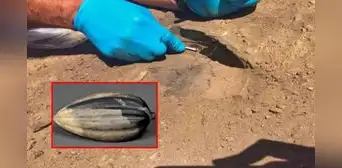 Producto ancestral de Perú en Jaén sorprendió a arqueólogos: tendría más de 6.000 años de antigüedad Producto ancestral de Perú en Jaén sorprendió a arqueólogos: tendría más de 6.000 años de antigüedad