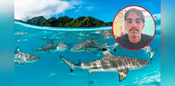 Joven australiano desapareció mientras surfeaba y terminó varado en una isla desierta a 13 km rodeado de tiburones: "Pensé que no iba a volver"