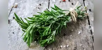 La hierba común de cocina que mejora nuestra memoria, controla la ansiedad y nos protegería contra el Alzheimer La hierba común de cocina que mejora nuestra memoria, controla la ansiedad y nos protegería contra el Alzheimer