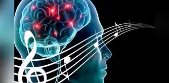 Escuchar música lenta disminuye el estrés, según neurofisiólogo de la Universidad de Santiago: "Los ritmos más pausados tienen mejores efectos en el ritmo cardíaco” Escuchar música lenta disminuye el estrés, según neurofisiólogo de la Universidad de Santiago: "Los ritmos más pausados tienen mejores efectos en el ritmo cardíaco”