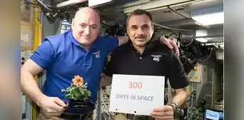 Scott Kelly, el astronauta estadounidense que pasó casi un año en el espacio y regresó más joven, según estudios de la NASA