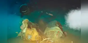 Científicos arrojaron una vaca a 1.600 metros de profundidad en el Mar de China y en la oscuridad aparecieron unos visitantes gigantescos Científicos arrojaron una vaca a 1.600 metros de profundidad en el Mar de China y en la oscuridad aparecieron unos visitantes gigantescos