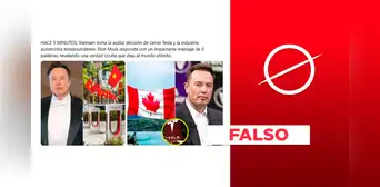 No existen registros de que Tesla haya retirado sus fábricas de Vietnam No existen registros de que Tesla haya retirado sus fábricas de Vietnam